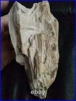 Native American Stone Effigy. Portable Rock Art. Rare. Great Value Artifacts