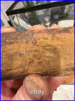 Native American Stone Effigy. Portable Rock Art. Rare. Great Value Artifacts