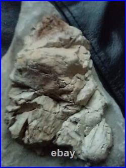 Native American Stone Effigy. Portable Rock Art. Rare. Great Value Artifacts