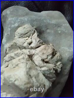 Native American Stone Effigy. Portable Rock Art. Rare. Great Value Artifacts