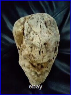 Native American Stone Effigy. Portable Rock Art. Rare. Great Value Artifacts