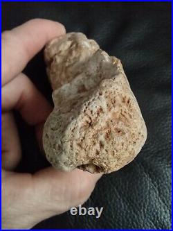 Native American Stone Effigy. Portable Rock Art. Rare. Great Value Artifacts