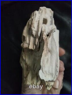 Native American Stone Effigy. Portable Rock Art. Rare. Great Value Artifacts