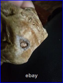 Native American Stone Effigy Portable Rock Art Rare. Great Value Artifacts