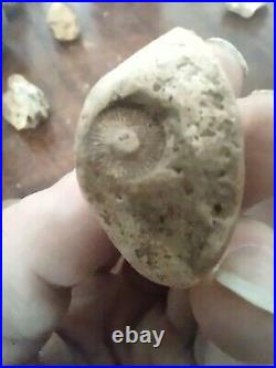 Native American Stone Effigy. Portable Rock Art. Rare. Great Value Artifacts