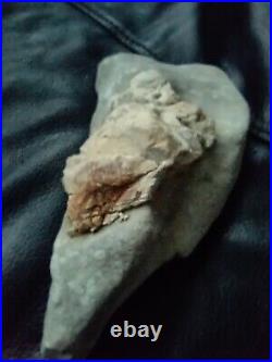 Native American Stone Effigy. Portable Rock Art. Rare. Great Value Artifacts