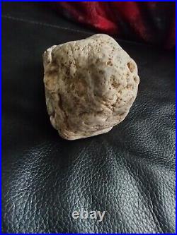 Native American Stone Effigy. Portable Rock Art. Rare. Great Value Artifacts