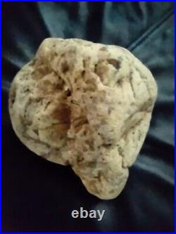 Native American Stone Effigy. Portable Rock Art. Rare. Great Value Artifacts