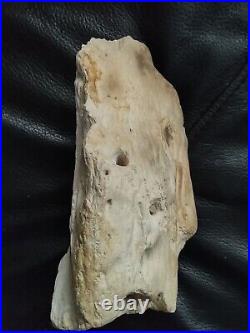 Native American Stone Effigy. Portable Rock Art. Rare. Great Value Artifacts