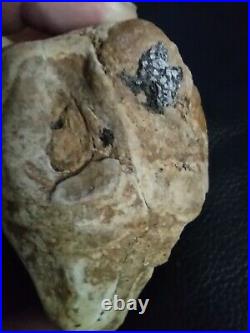 Native American Stone Effigy Portable Rock Art Rare. Great Value Artifacts