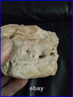 Native American Stone Effigy. Portable Rock Art. Rare. Great Value Artifacts