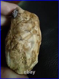 Native American Stone Effigy Portable Rock Art Rare. Great Value Artifacts