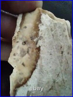 Native American Stone Effigy. Portable Rock Art. Rare. Great Value Artifacts