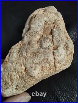 Native American Stone Effigy. Portable Rock Art. Rare. Great Value Artifacts