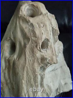 Native American Stone Effigy. Portable Rock Art. Rare. Great Value Artifacts