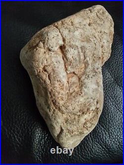 Native American Stone Effigy. Portable Rock Art. Rare. Great Value Artifacts