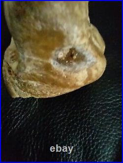 Native American Stone Effigy Portable Rock Art Rare. Great Value Artifacts