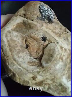 Native American Stone Effigy Portable Rock Art Rare. Great Value Artifacts