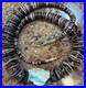 Native-American-Violet-Oyster-Shell-Necklace-w-Boulder-Royston-Ribbon-Turquoise-01-vu