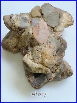 Native american artifacts buy it now CONGLOMERATE RARE BEAUTIFUL