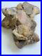 Native-american-artifacts-buy-it-now-CONGLOMERATE-RARE-BEAUTIFUL-01-vwvz