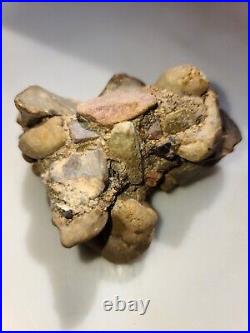Native american artifacts buy it now CONGLOMERATE RARE BEAUTIFUL