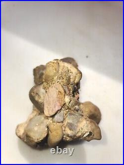 Native american artifacts buy it now CONGLOMERATE RARE BEAUTIFUL