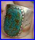 Navajo-Jane-Popovitch-Gem-Grade-Rare-Red-Mountain-Turquoise-Sterling-Ring-11-01-fso