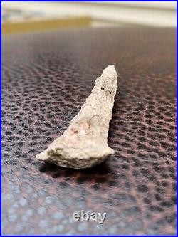 Paleothic/Archaic Hafted Drill. Excellent Condition. Very Rare. 2 5/8 length