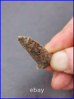 Paleothic/Archaic Hafted Drill. Excellent Condition. Very Rare. 2 5/8 length