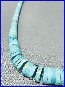 Particularily Rare Vintage Santo Domingo Turquoise Sterling Silver Necklace