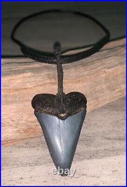 RARE! 1 7/8 GREAT WHITE Shark Tooth Fossil Timucua Native American Necklace