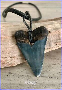 RARE! 1 7/8 GREAT WHITE Shark Tooth Fossil Timucua Native American Necklace