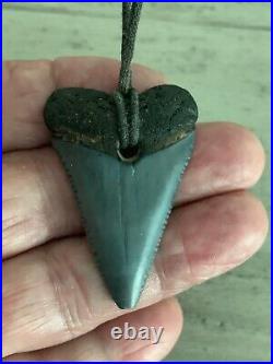 RARE! 1 7/8 GREAT WHITE Shark Tooth Fossil Timucua Native American Necklace