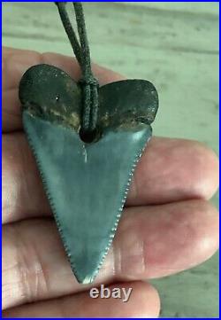 RARE! 1 7/8 GREAT WHITE Shark Tooth Fossil Timucua Native American Necklace