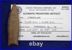 RARE Cumberland Point COA Authentic Prehistoric Arrowhead Native American Indian