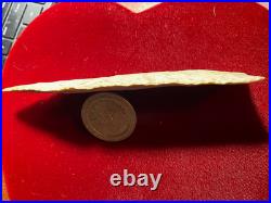 RARE DEAL 7 In Wadlow Point Missouri Archaic Native American Artifact Arrowhead