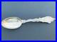 RARE-Native-American-Indian-Couple-P-B-Sterling-Silver-Spoon-Minneapolis-MN-01-vxjy
