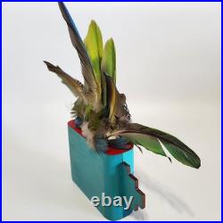 RARE Native American Wood Kachina Face Mask Withfeathers, Handmade EUC