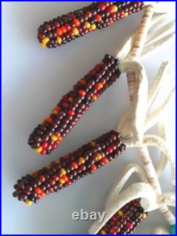 RARE SPIRIT CORN Native American Necklace & earring Beadwork on Buckskin Navajo