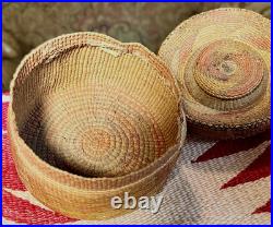 RARE TLINGIT KNOB TOP-RATTLE BASKET, Spruce Root, MaidenHair Fern, Dyed BearGrass