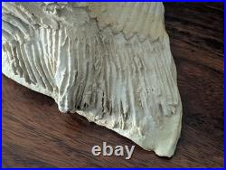 RARE Vintage Almazetta Casey Native American Clay Sculpture Signed Ltd 20/100