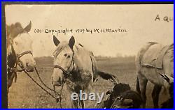 RPPC Native American Indian-A Quiet Game Horse WH. Martin Shawnee -OK Rare cnxl