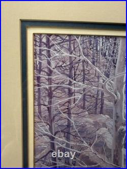 Rare 1987 Glen Barnes Signed Native American Art Print Triple Matted Framed