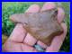 Rare-3-1-4-FOSSIL-INCLUSION-Georgia-Florida-Arrowhead-83-01-hj