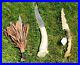 Rare-Antique-Native-American-Knife-Collection-Stag-Bone-Handle-Elk-Apache-Dagger-01-qz