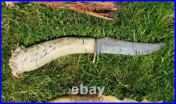 Rare Antique Native American Knife Collection Stag Bone Handle Elk Apache Dagger