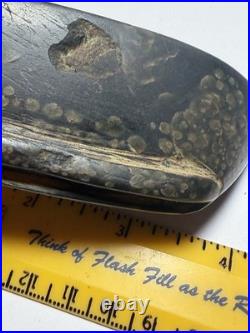 Rare Cocke Co. TN Serpentine Boatstone Artifact Arrowhead Collection