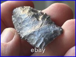 Rare Cody Complex Windust / Scottsbluff From Northern Nevada, Stermer Coa