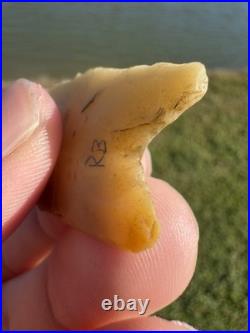 Rare GEM Novaculite Native American Paleo Dalton Arrowhead Artifact Double COA